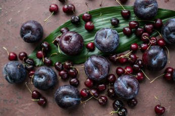 Картинка еда фрукты +ягоды слива вишня ягоды лист