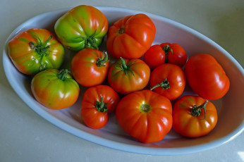 Картинка еда помидоры томаты