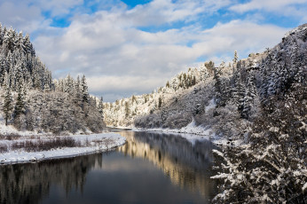 Картинка природа реки озера река лес