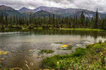 Картинка природа реки озера река лес