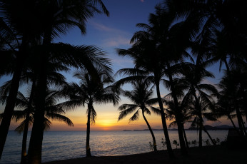 Картинка природа тропики простор