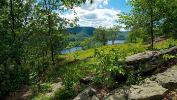 Картинка природа пейзажи гора река деревья камни