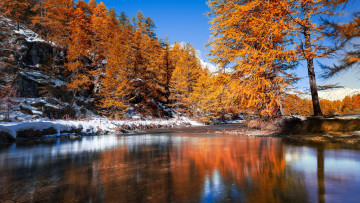 Картинка природа реки озера река лес