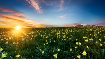 Картинка природа восходы закаты рассвет