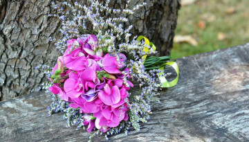 Картинка цветы букеты +композиции душистый горошек