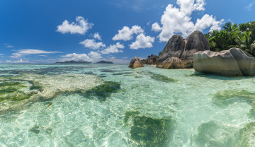 Картинка природа тропики простор