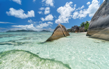 Картинка природа тропики простор