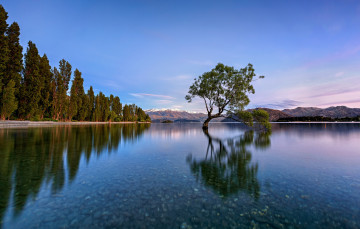 Картинка природа реки озера река лес