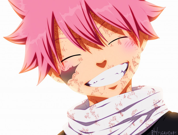 Обои картинки фото аниме, fairy tail, хвост, феи