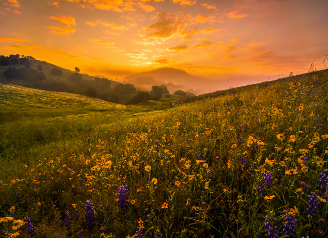 Обои картинки фото природа, восходы, закаты, рассвет