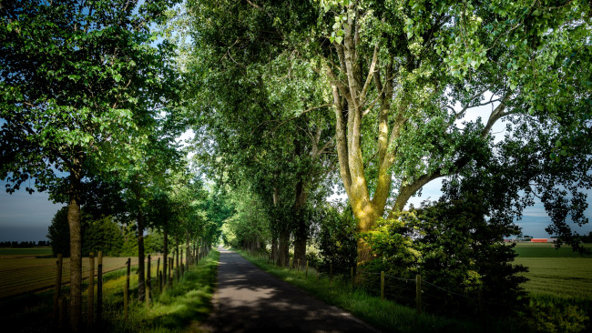 Обои картинки фото природа, дороги, тракт
