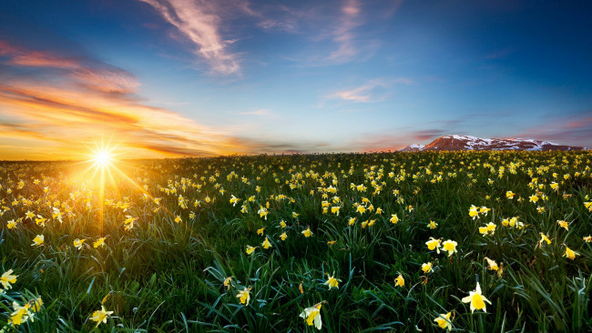 Обои картинки фото природа, восходы, закаты, рассвет