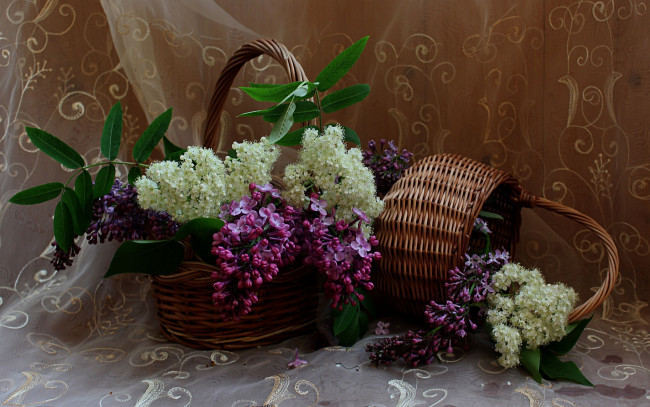 Обои картинки фото цветы, разные вместе, весна, натюрморт, рябина, сирень