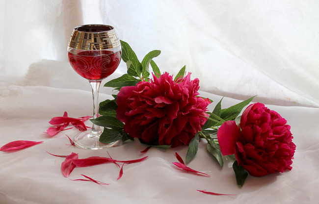 Обои картинки фото еда, напитки, цветы, растения, пионы, натюрморт, лето