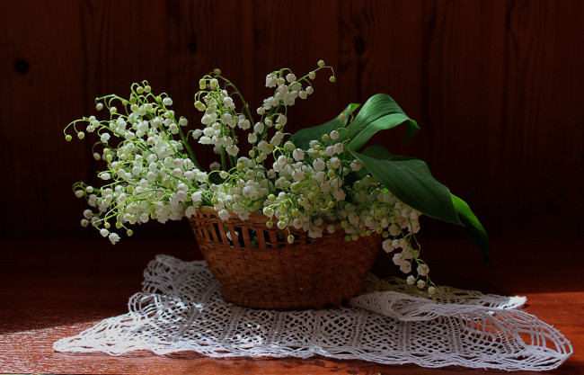 Обои картинки фото цветы, ландыши, букет, натюрморт