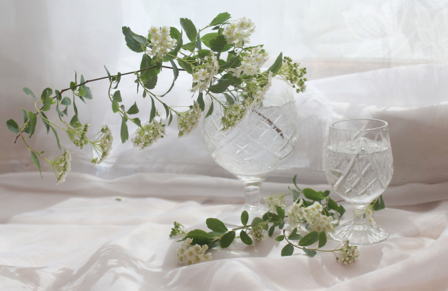 Обои картинки фото цветы, посуда, натюрморт, ветка, хрусталь, спирея