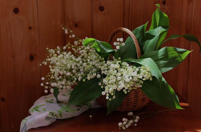 Обои картинки фото цветы, ландыши, вечер, лето, свечи, сирень