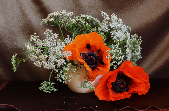 Обои картинки фото цветы, разные вместе, натюрморт, маки, лето, букет, сныть