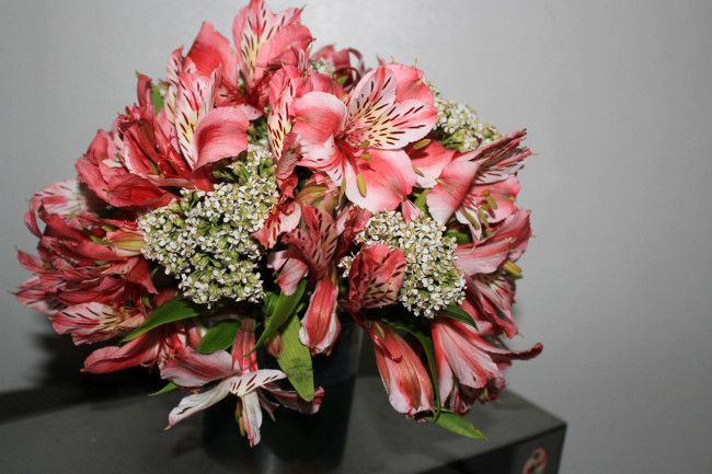 Обои картинки фото цветы, букеты,  композиции, альстромерия