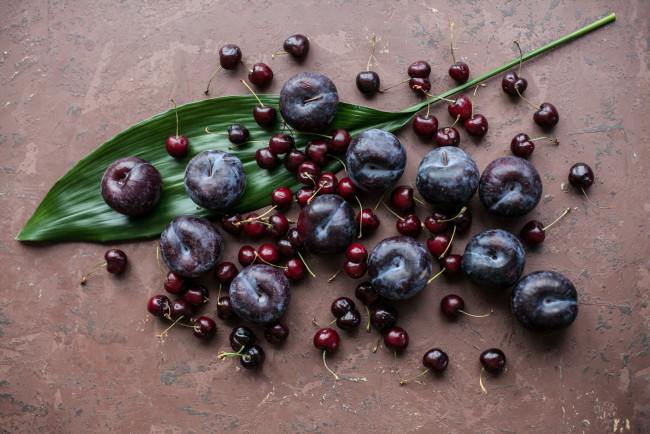 Обои картинки фото еда, фрукты,  ягоды, слива, вишня, ягоды, лист