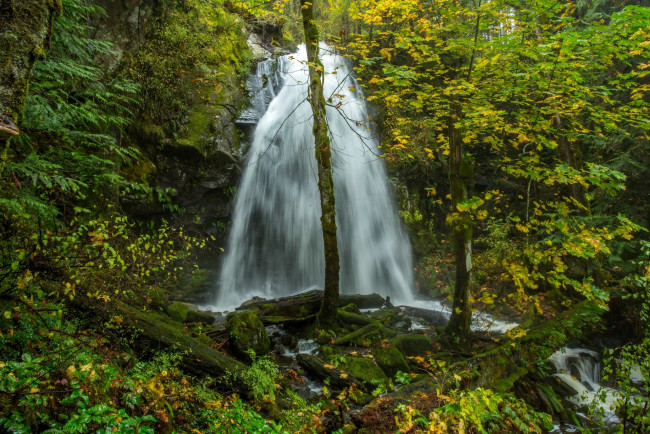 Обои картинки фото канада, природа, водопады, деревья, растения