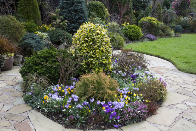 Обои картинки фото природа, парк, цветы, кустарники, газон