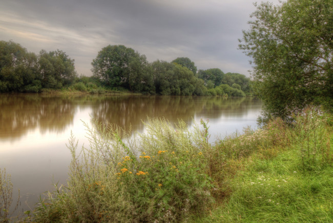 Обои картинки фото природа, реки, озера, лес, река