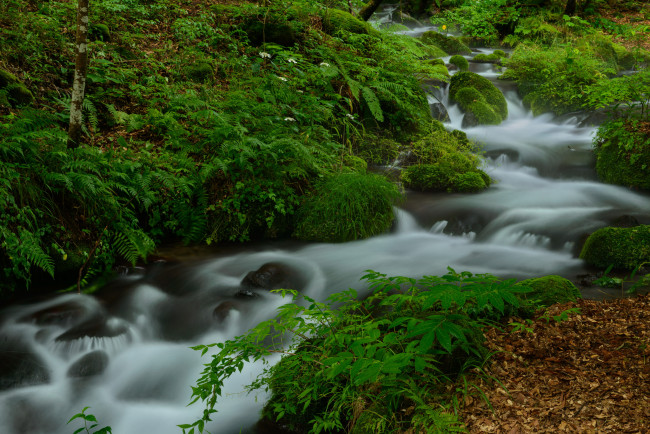 Обои картинки фото природа, реки, озера, лес, река, поток, вода, деревья