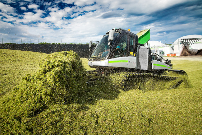 Обои картинки фото техника, тракторы на гусенецах, работы, сельхоз