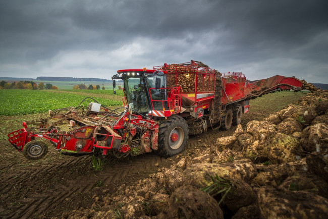 Обои картинки фото техника, тракторы, работы, сельхоз