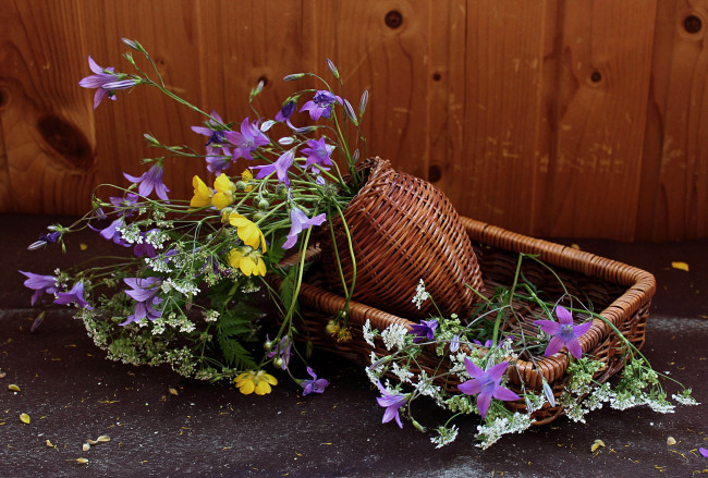 Обои картинки фото цветы, луговые , полевые,  цветы, натюрморт, лютики, сныть, растения, колокольчики
