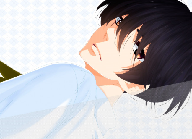 Обои картинки фото аниме, fujiwara-kun wa daitai tadashii, парень