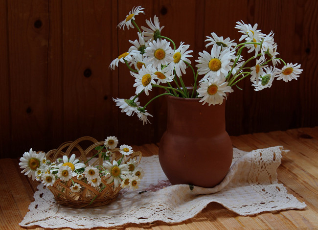 Обои картинки фото цветы, ромашки, полевые, флора, лето, натюрморт, растения