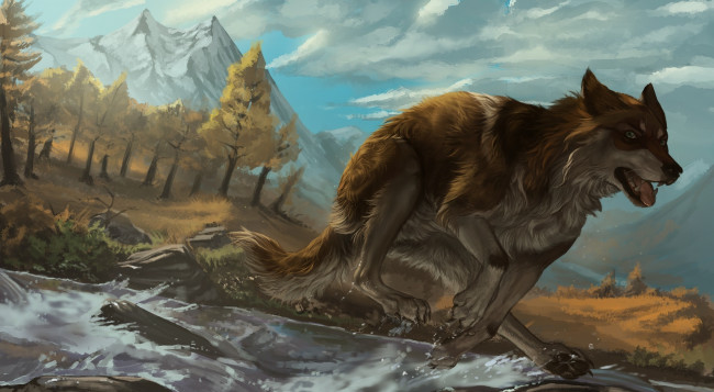 Обои картинки фото рисованное, животные,  собаки, фон, взгляд, собака