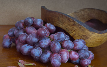 Картинка еда виноград ягоды гроздь