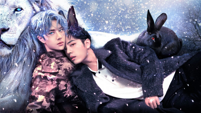 Обои картинки фото разное, компьютерный дизайн, ван, ибо, сяо, чжань, лев, кролик, уши