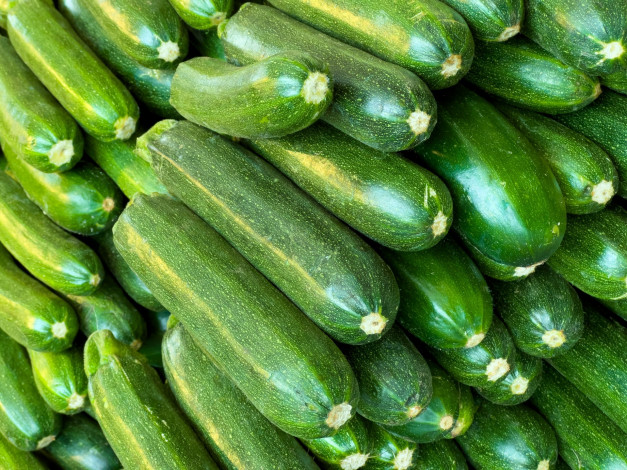 Обои картинки фото еда, кабачки,  цуккини,  патиссоны, цуккини