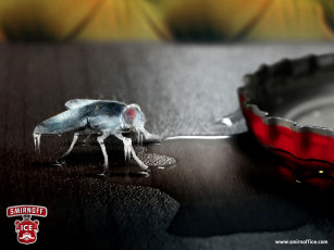 Картинка smirnoff бренды