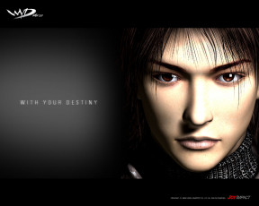 Картинка with your destiny видео игры