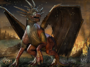 Картинка wish видео игры