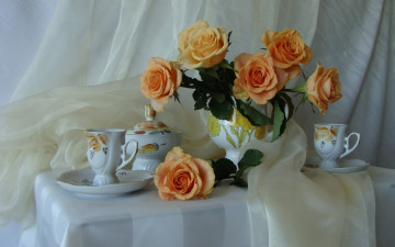 Картинка цветы розы