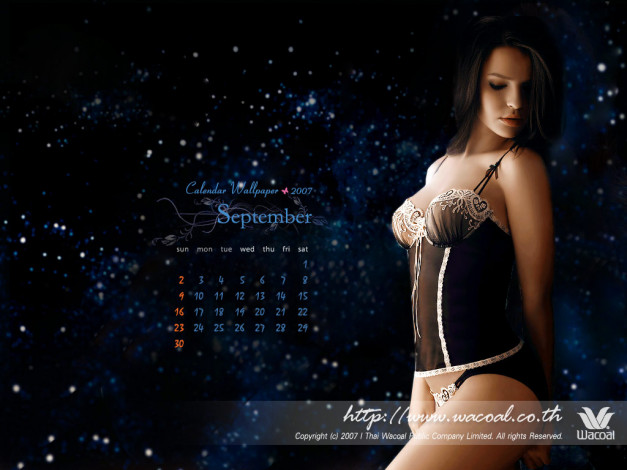 Обои картинки фото бренды, wacoal