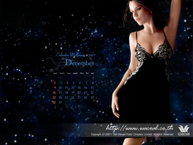 Обои картинки фото бренды, wacoal