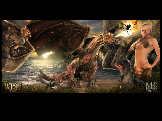 Обои картинки фото wish, видео, игры