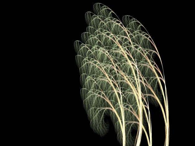 Обои картинки фото 3д, графика, fractal, фракталы, абстракция, узор