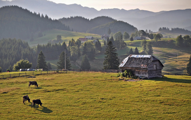 Обои картинки фото природа, пейзажи, дома, лес, горы