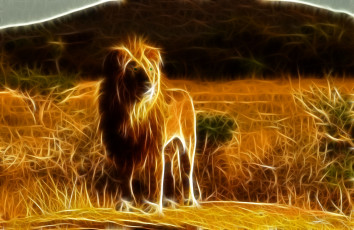 Картинка 3д графика animals животные лев