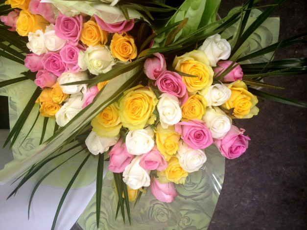 Обои картинки фото цветы, розы, букет