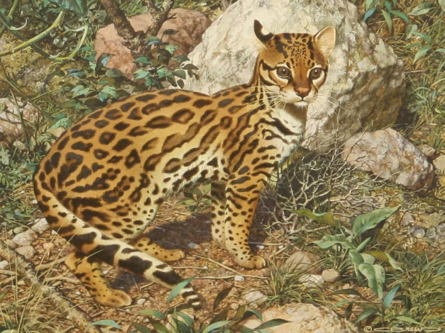 Обои картинки фото рисованные, carl, brenders