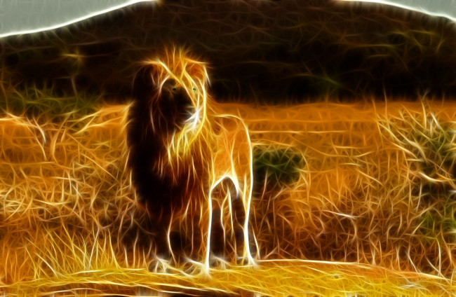 Обои картинки фото 3д, графика, animals, животные, лев